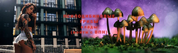 СК Покров