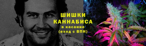 СК Покров