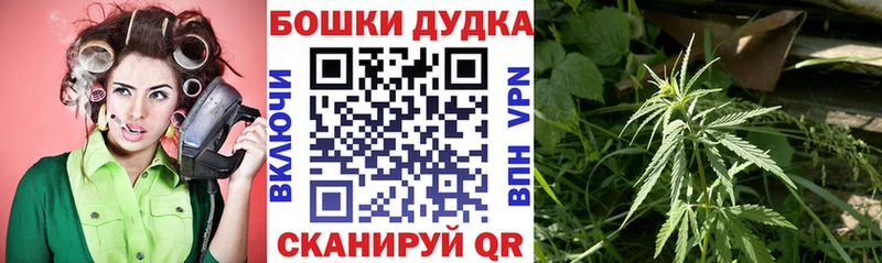 Канабис Amnesia  где купить наркоту  Абаза 